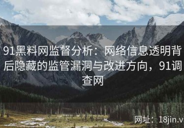 91黑料网监督分析：网络信息透明背后隐藏的监管漏洞与改进方向，91调查网