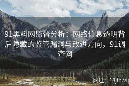 91黑料网监督分析：网络信息透明背后隐藏的监管漏洞与改进方向，91调查网