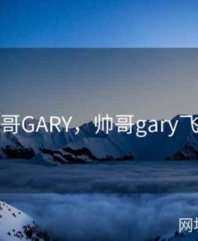 帅哥GARY，帅哥gary飞机