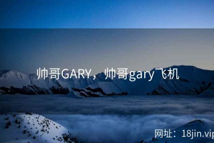 帅哥GARY，帅哥gary飞机