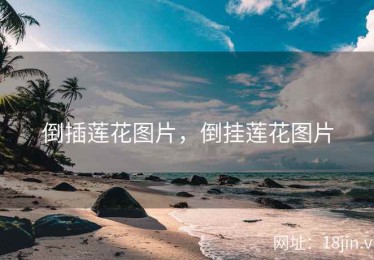 倒插莲花图片，倒挂莲花图片