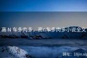 高 N 车多肉多，高n车多肉多小说全文