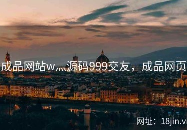 成品网站w灬源码999交友，成品网页