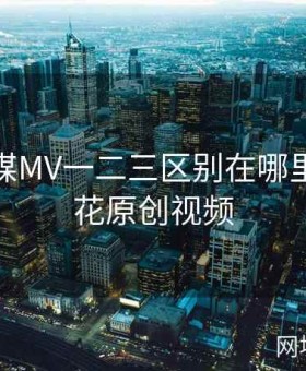 麻花传媒MV一二三区别在哪里看，麻花原创视频