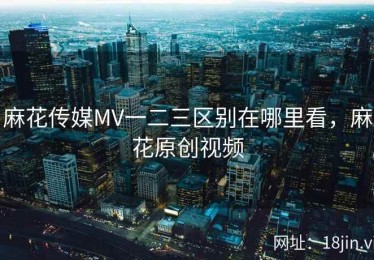 麻花传媒MV一二三区别在哪里看，麻花原创视频