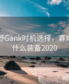 寡妇打野Gank时机选择，寡妇打野出什么装备2020
