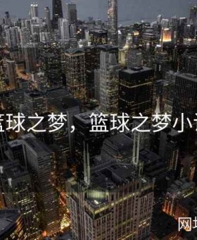 篮球之梦，篮球之梦小说