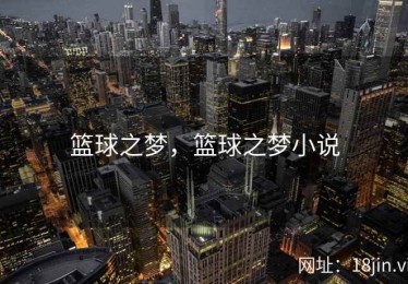 篮球之梦，篮球之梦小说