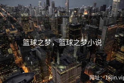 篮球之梦，篮球之梦小说