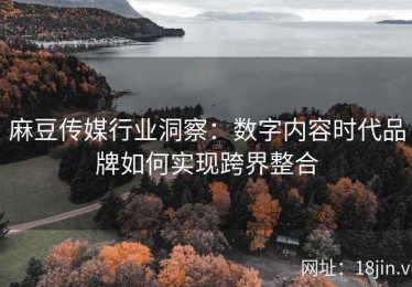 麻豆传媒行业洞察：数字内容时代品牌如何实现跨界整合