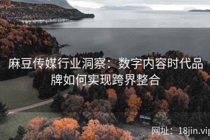 麻豆传媒行业洞察：数字内容时代品牌如何实现跨界整合