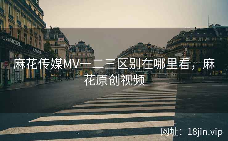 麻花传媒MV一二三区别在哪里看，麻花原创视频