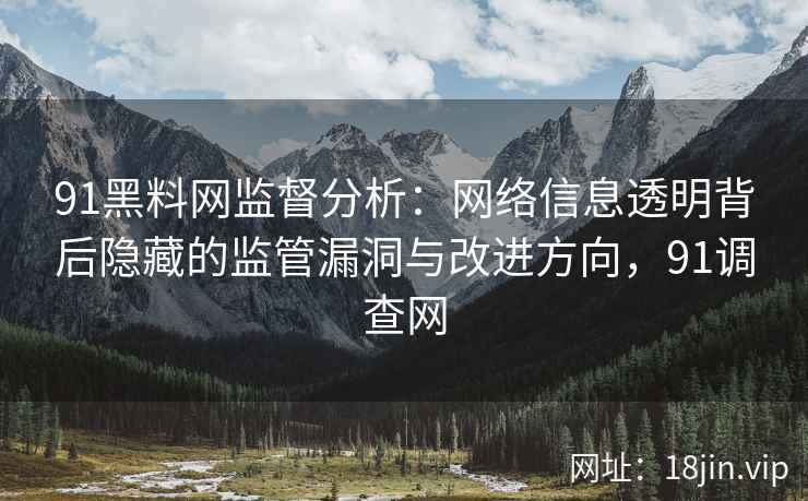91黑料网监督分析：网络信息透明背后隐藏的监管漏洞与改进方向，91调查网