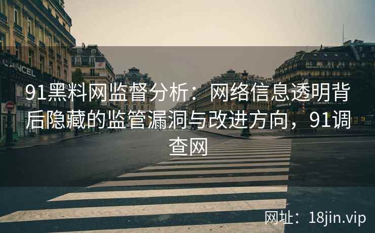 91黑料网监督分析：网络信息透明背后隐藏的监管漏洞与改进方向，91调查网