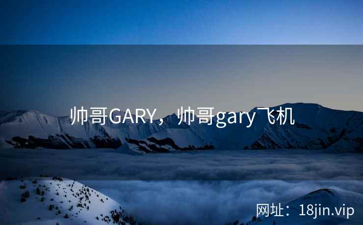 帅哥GARY，帅哥gary飞机
