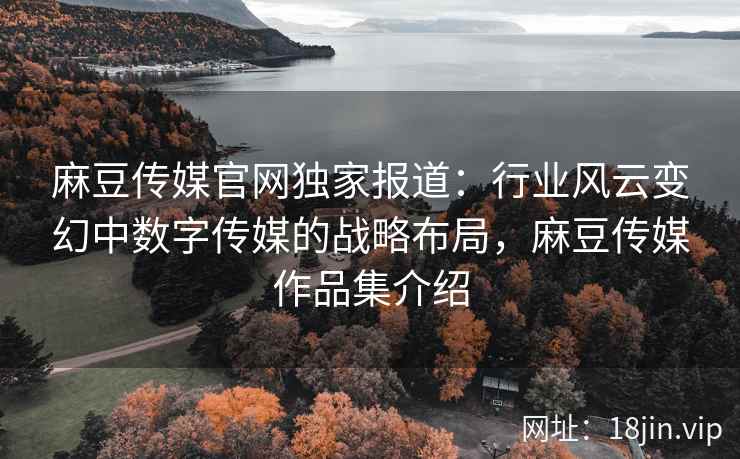 麻豆传媒官网独家报道：行业风云变幻中数字传媒的战略布局，麻豆传媒作品集介绍