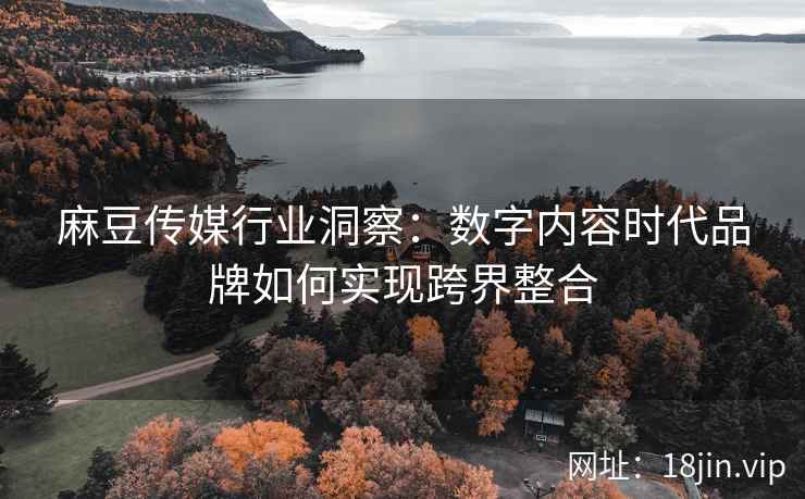 麻豆传媒行业洞察：数字内容时代品牌如何实现跨界整合